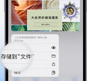 江夏apple维修中心分享iPhone文件应用中存储和找到下载文件