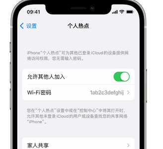 江夏apple服务站点分享iPhone上个人热点丢失了怎么办 