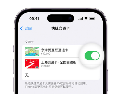 江夏apple维修点分享iPhone上更换Apple Pay快捷交通卡手绘卡面 