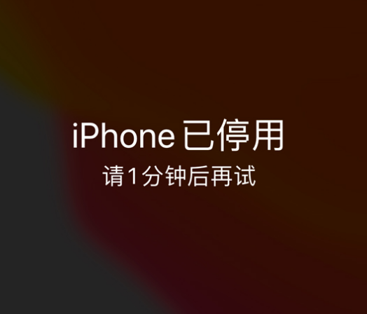 江夏苹果手机维修分享:iPhone 显示“不可用”或“已停用”怎么办？还能保留数据吗？ 