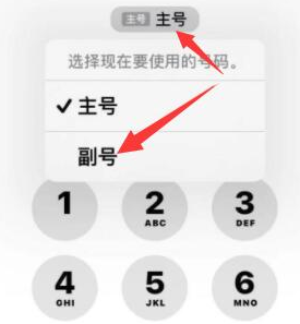 江夏苹果14维修店分享iPhone 14 Pro Max使用副卡打电话的方法 