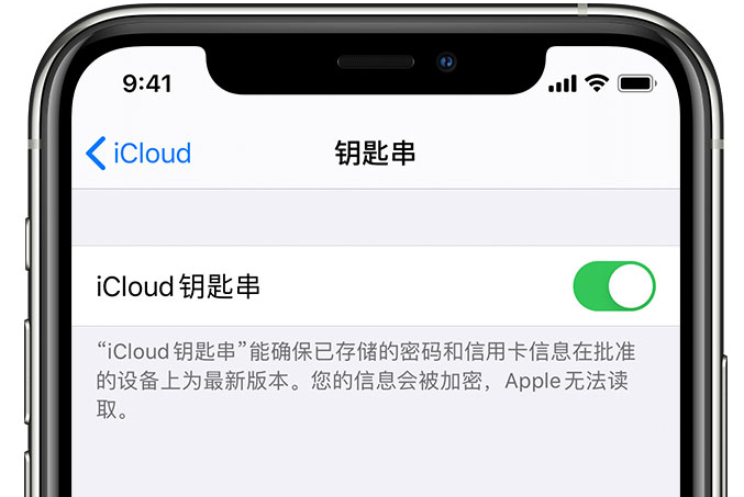 江夏苹果手机维修分享在 iPhone 上开启 iCloud 钥匙串之后会储存哪些信息 