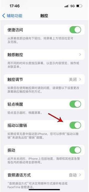 江夏苹果手机维修分享iPhone手机如何设置摇一摇删除文字 