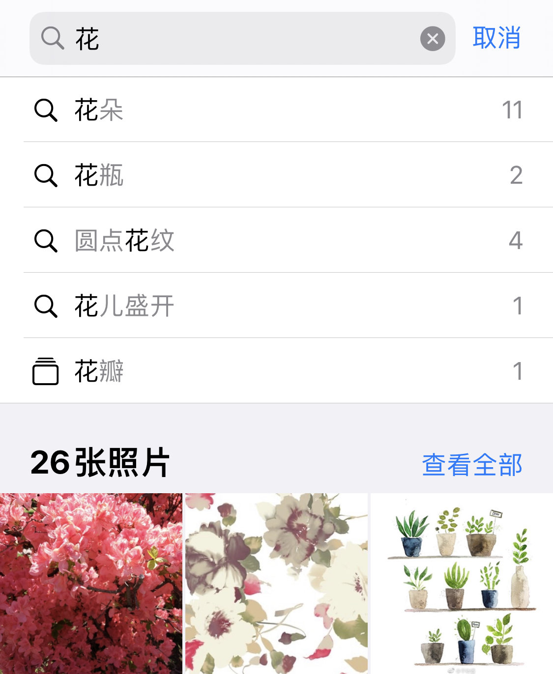 江夏苹果手机维修分享iPhone 小技巧 