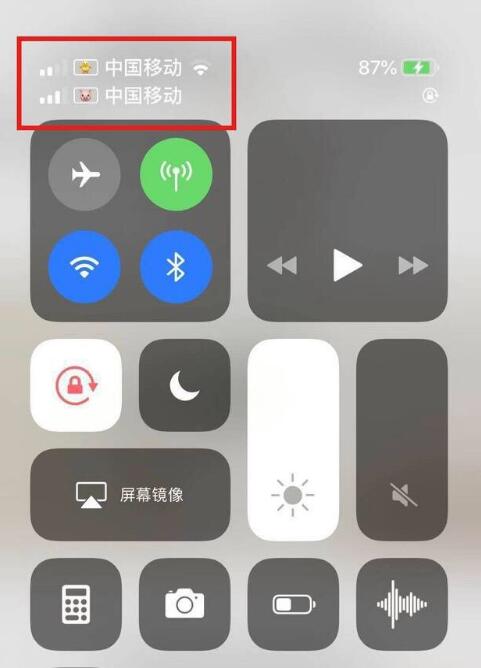 江夏苹果手机维修分享为 iPhone 12 双卡设置标签 