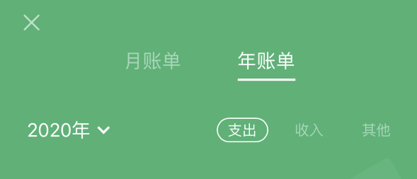 江夏苹果手机维修分享如何在 iPhone 上查看支付宝和微信年支出账单 